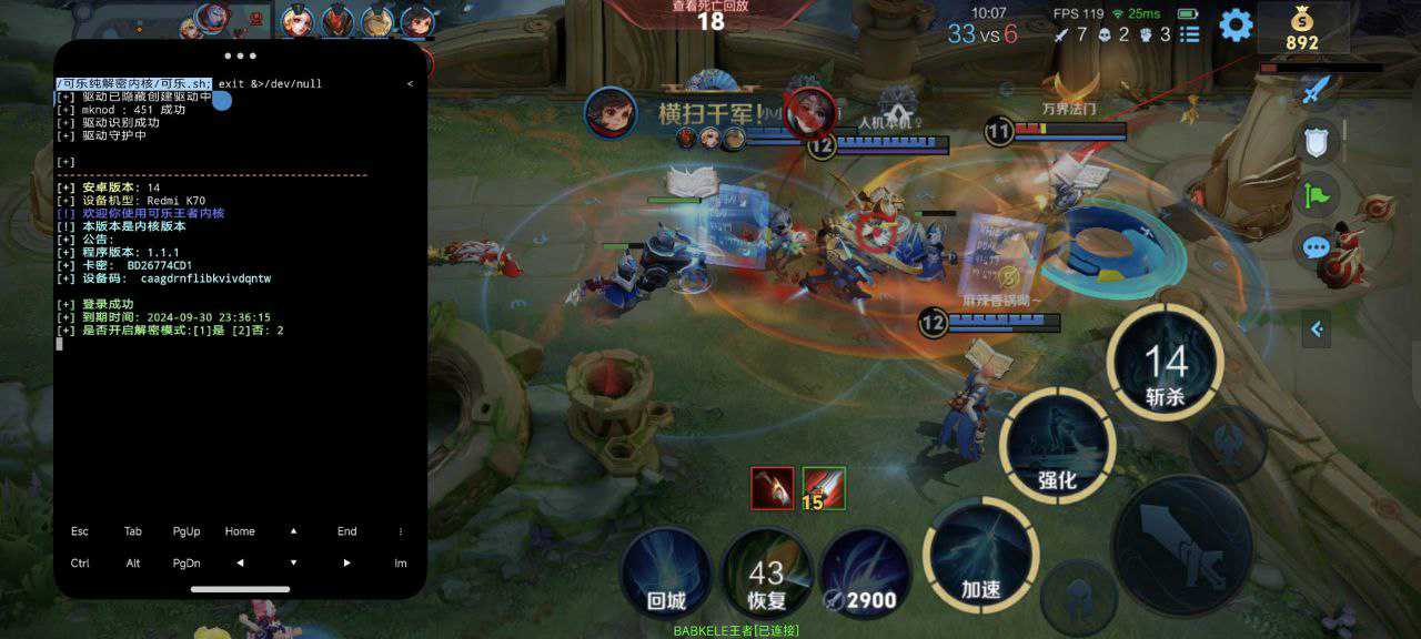 王者荣耀《黎明》辅助