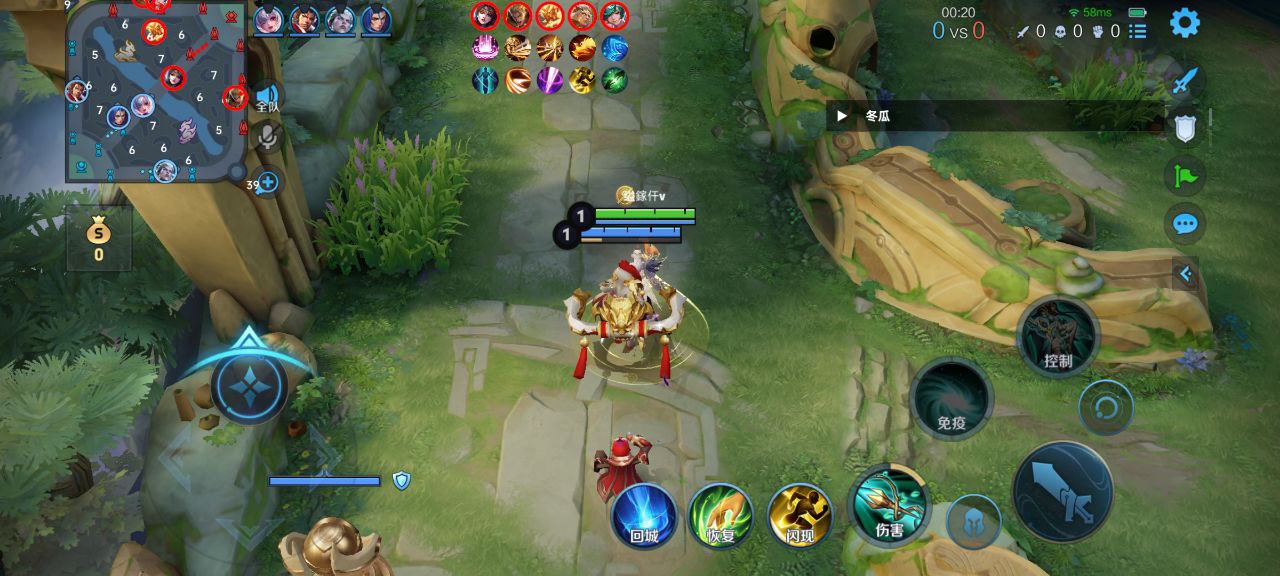 王者荣耀河马外挂科技